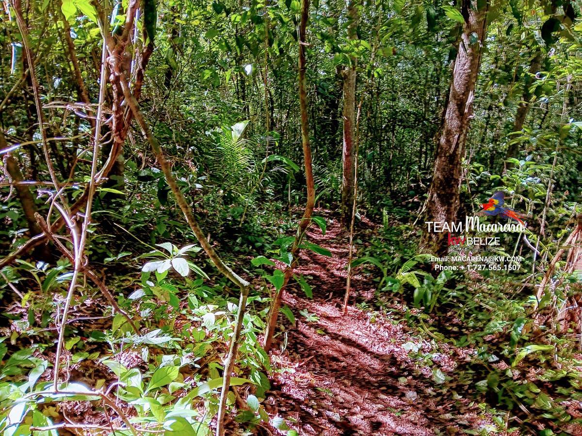 Three Acres of Serenity in Cristo Rey