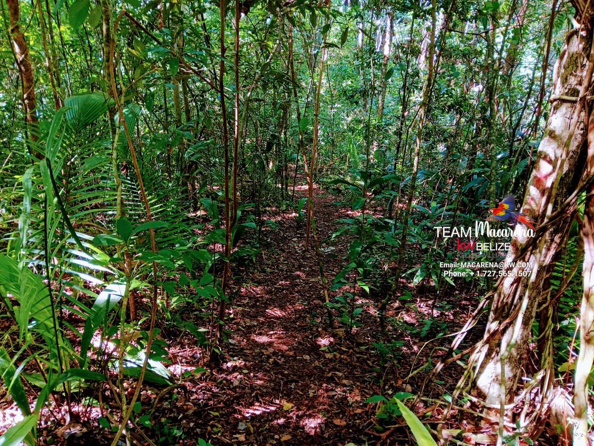 Three Acres of Serenity in Cristo Rey
