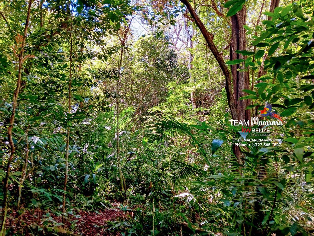 Three Acres of Serenity in Cristo Rey