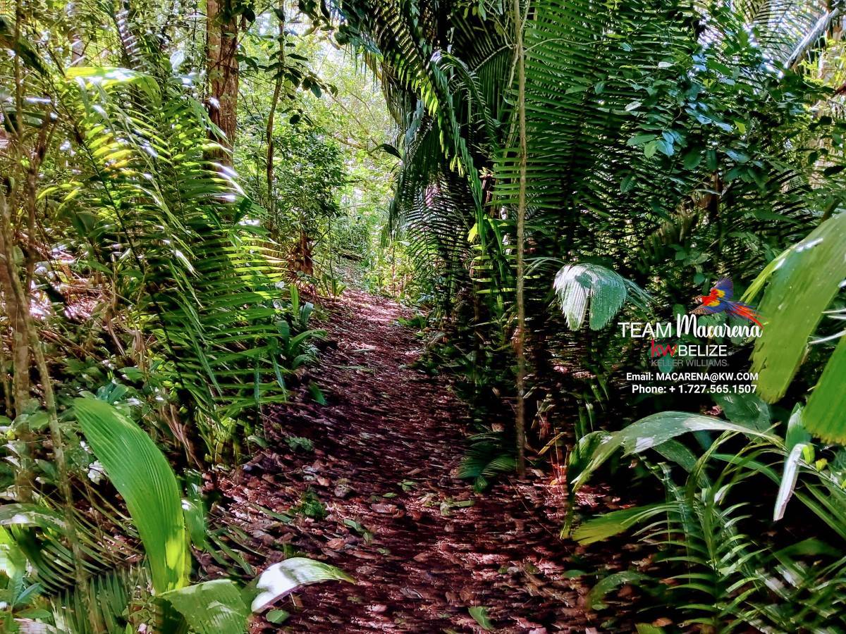 Three Acres of Serenity in Cristo Rey