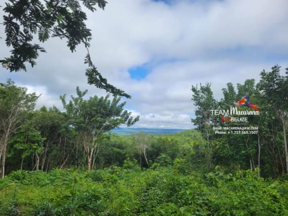6 Acres In Calla Creek10