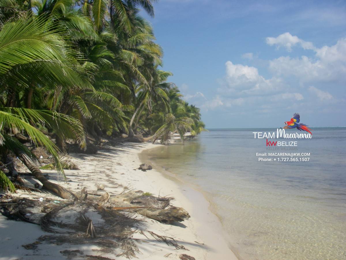 70 Acres of Seafront Land Bacalar Chico10