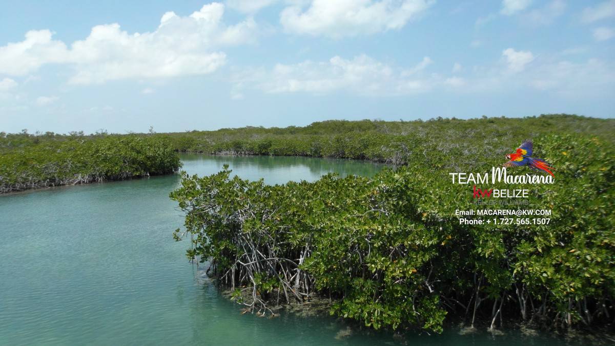 70 Acres of Seafront Land Bacalar Chico11