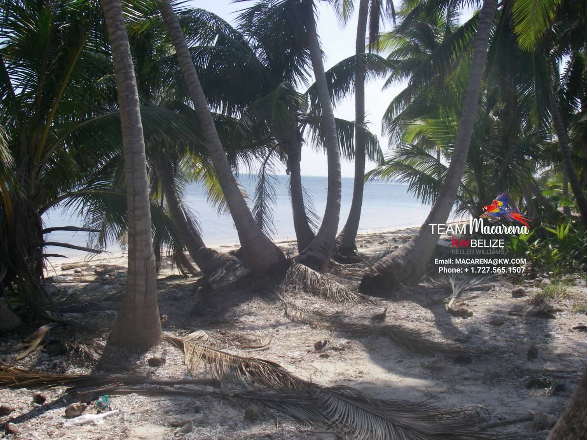 70 Acres of Seafront Land Bacalar Chico12