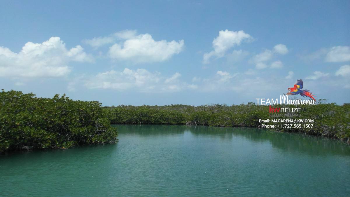 70 Acres of Seafront Land Bacalar Chico3
