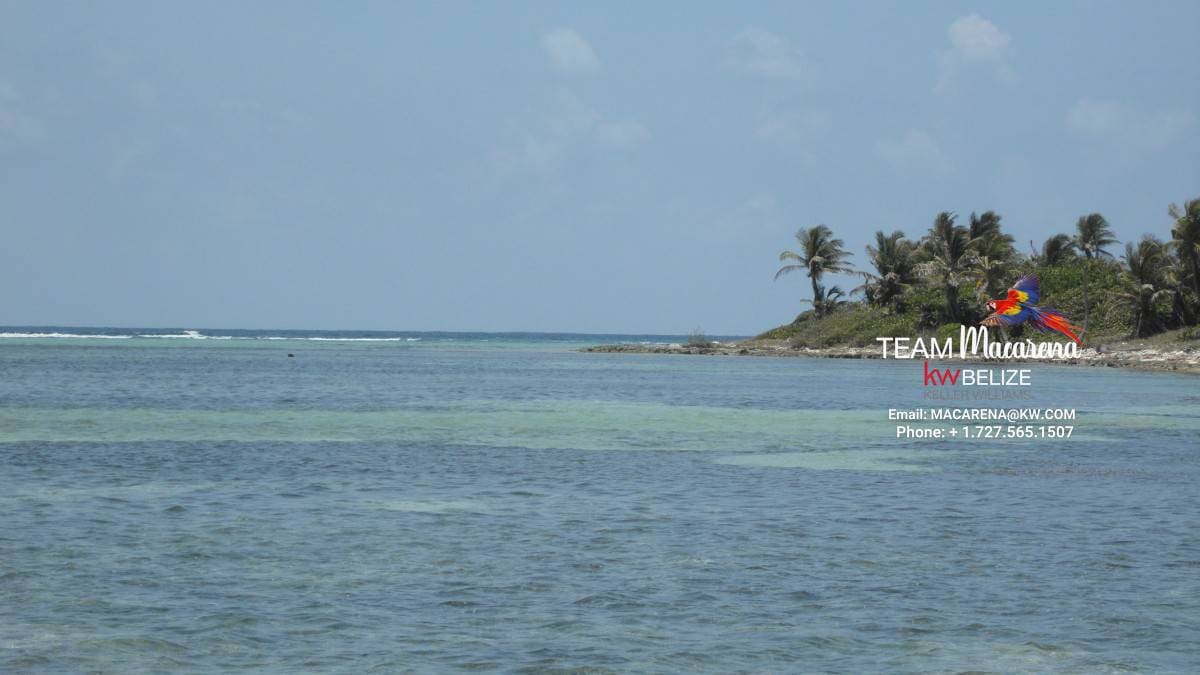 70 Acres of Seafront Land Bacalar Chico5