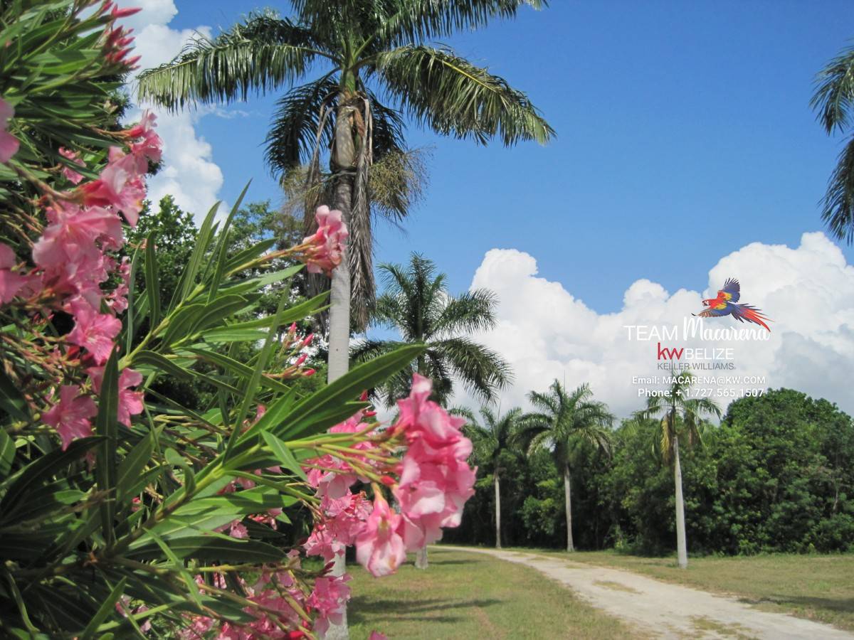 Waterfront Development Land Corozal Bay