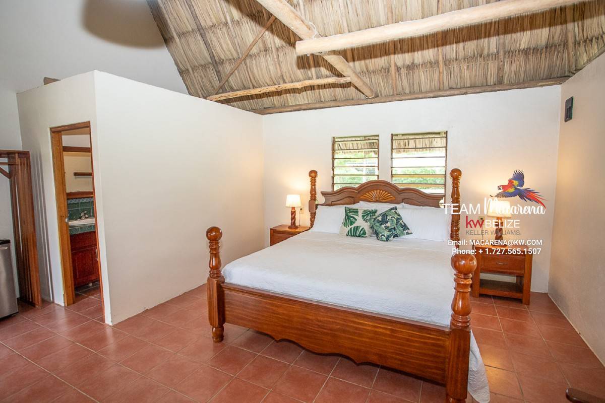 Rare Belizean Gem 23 Acres of Versatility36