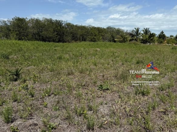 Tropical Lot In Consejo Shores1