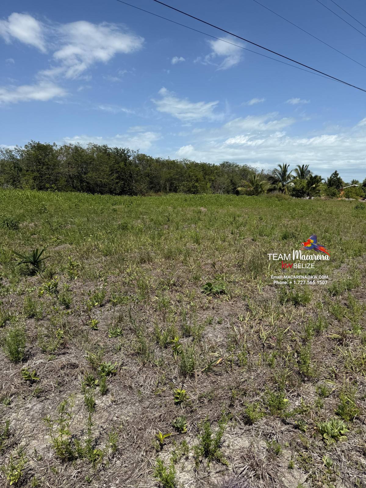 Tropical Lot In Consejo Shores1