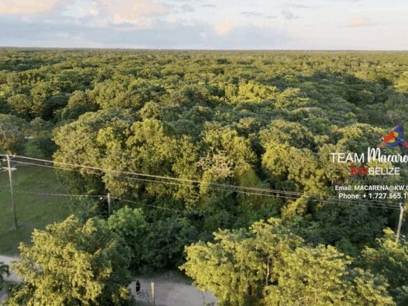 2.8 Acres Serenity Road Corozal11