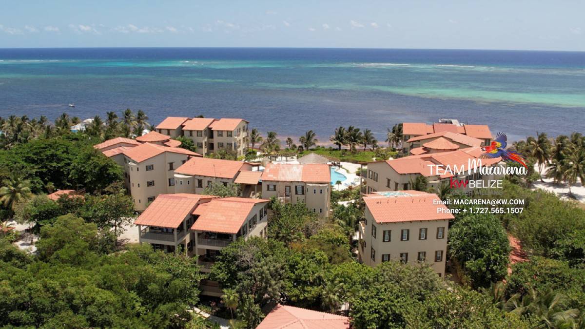 Optimized by JPEGmini 3.18.9.220874607-AV 0x950315ca