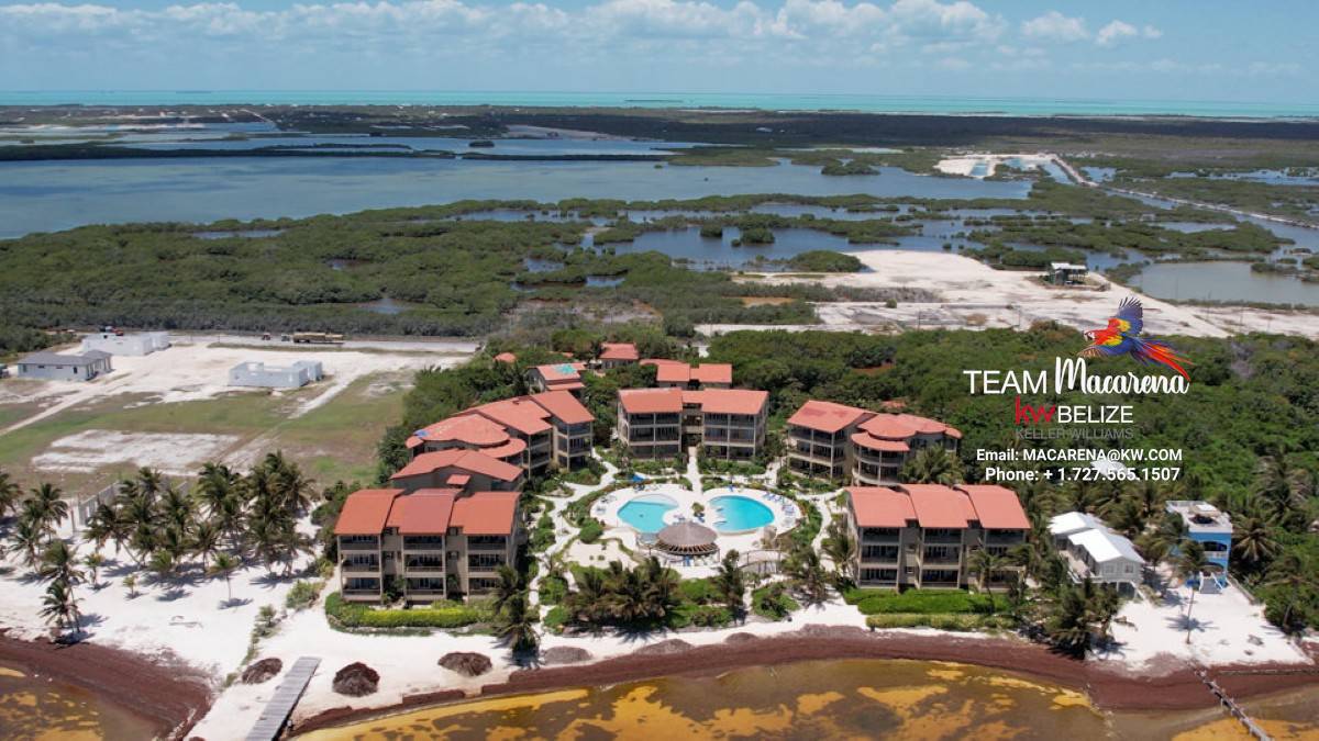 Optimized by JPEGmini 3.18.9.220874607-AV 0x950315ca