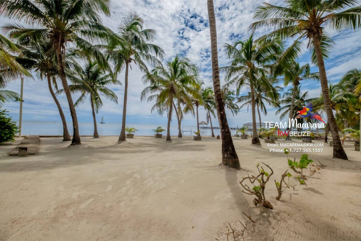 Optimized by JPEGmini 3.18.9.220874607-AV 0x0d9a3bc4