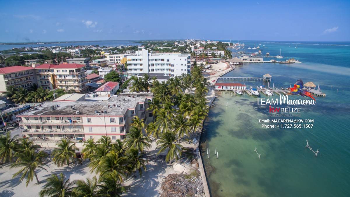 Optimized by JPEGmini 3.18.9.220874607-AV 0x09e81c1d