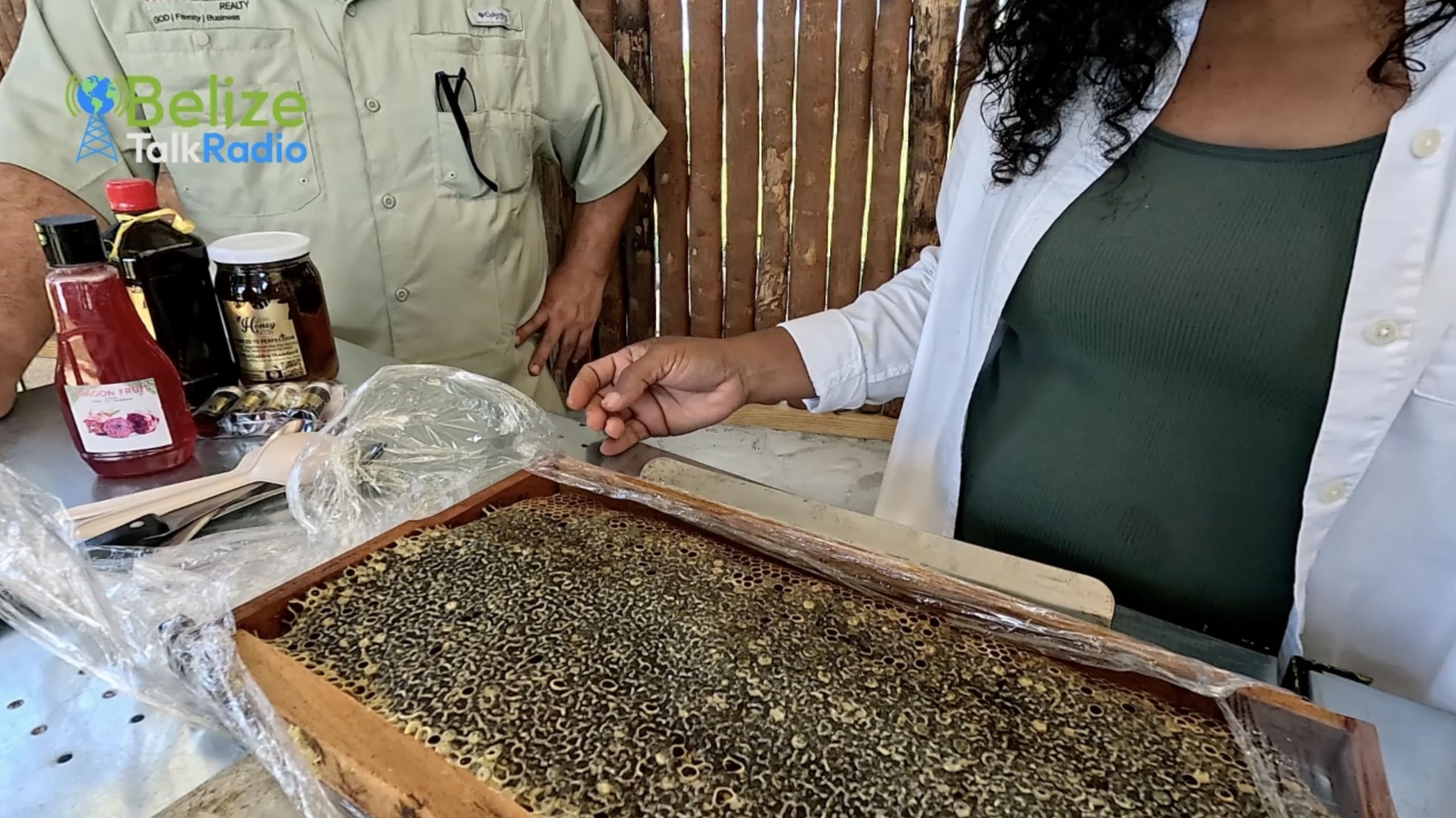 Belize Bee Farm Tour Cayo District Farm To Perfection