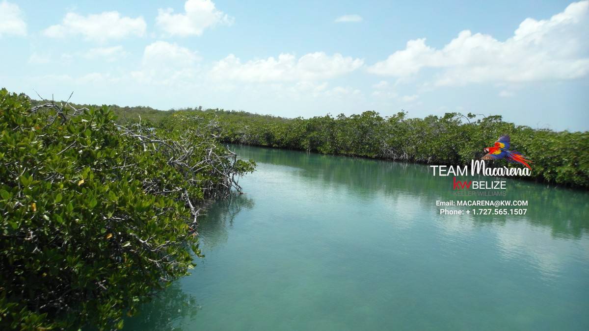 70 Acres of Belize Seafront in Bacalar Chico