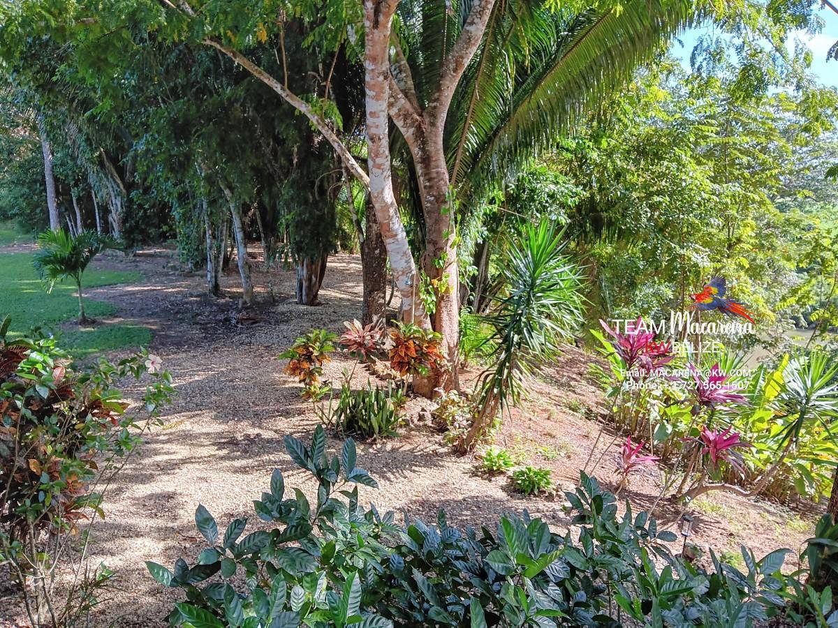 Belize 30 Acres Riverfront Property