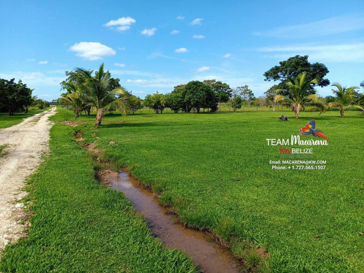 Belize 30 Acres Riverfront Property