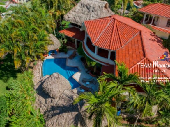 Elevated Jungle Estate