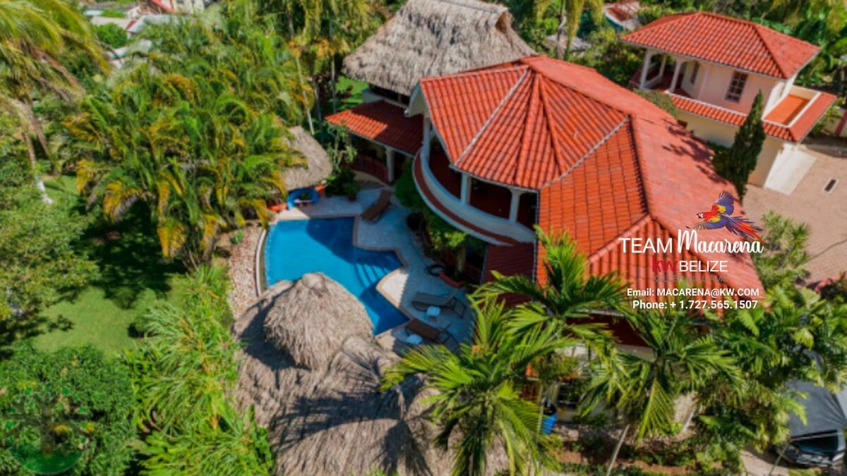 Elevated Jungle Estate