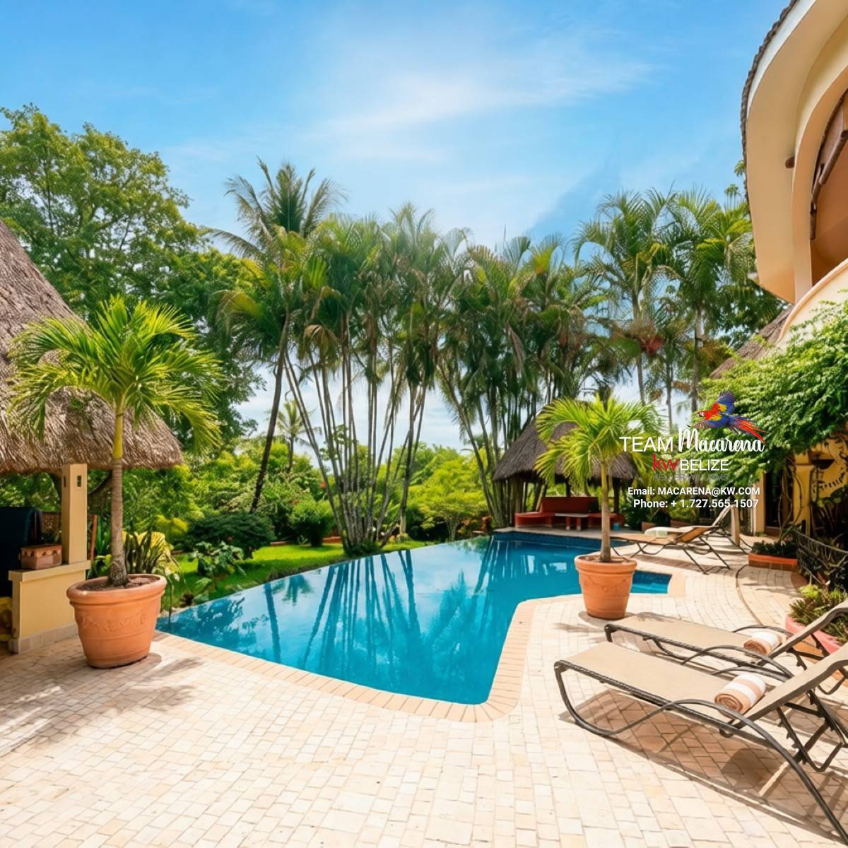 Elevated Jungle Estate