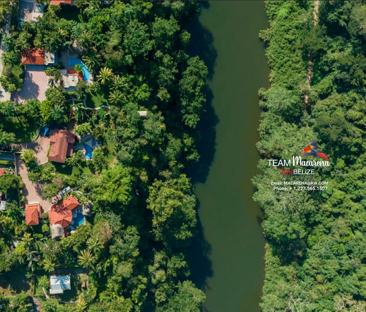 Elevated Jungle Estate