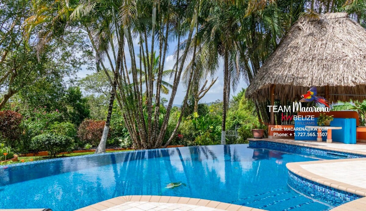 Elevated Jungle Estate