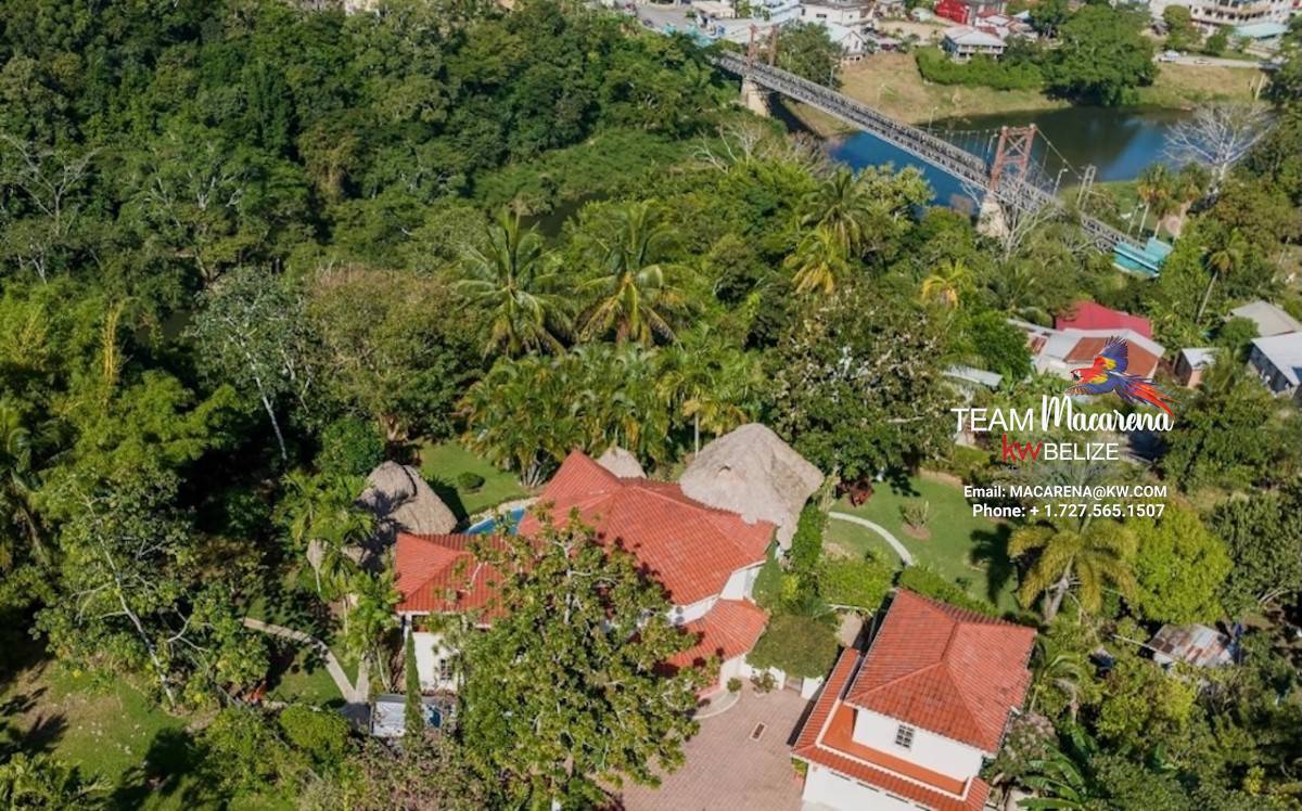 Elevated Jungle Estate