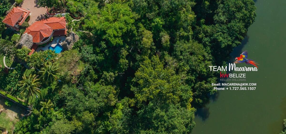 Elevated Jungle Estate