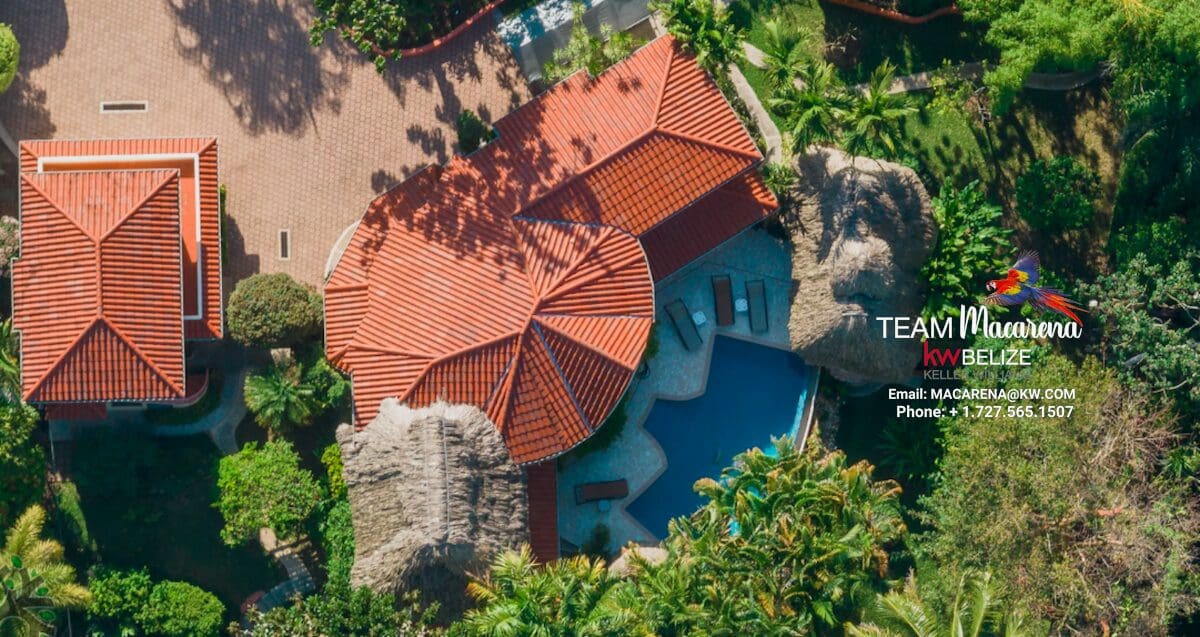 Elevated Jungle Estate