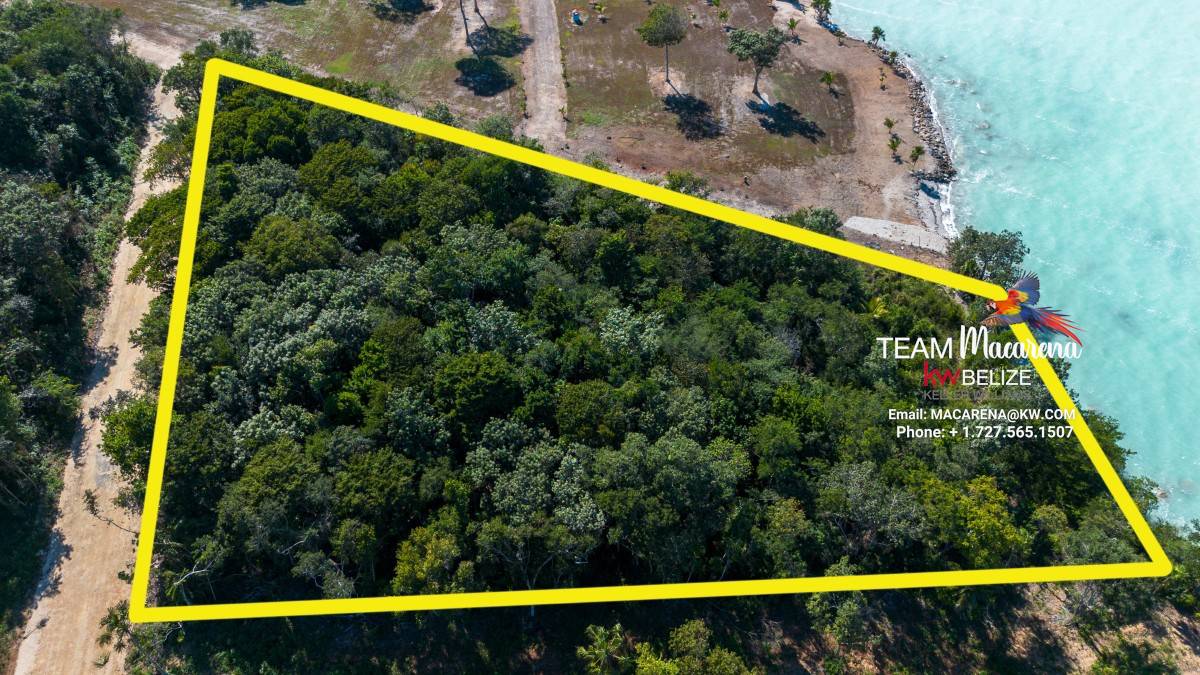 Two Lots in Warree Bight Belize