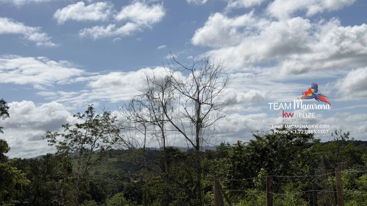 11-Acre Eco Property Near San Ignacio 11-Acre Eco Property Near San Ignacio