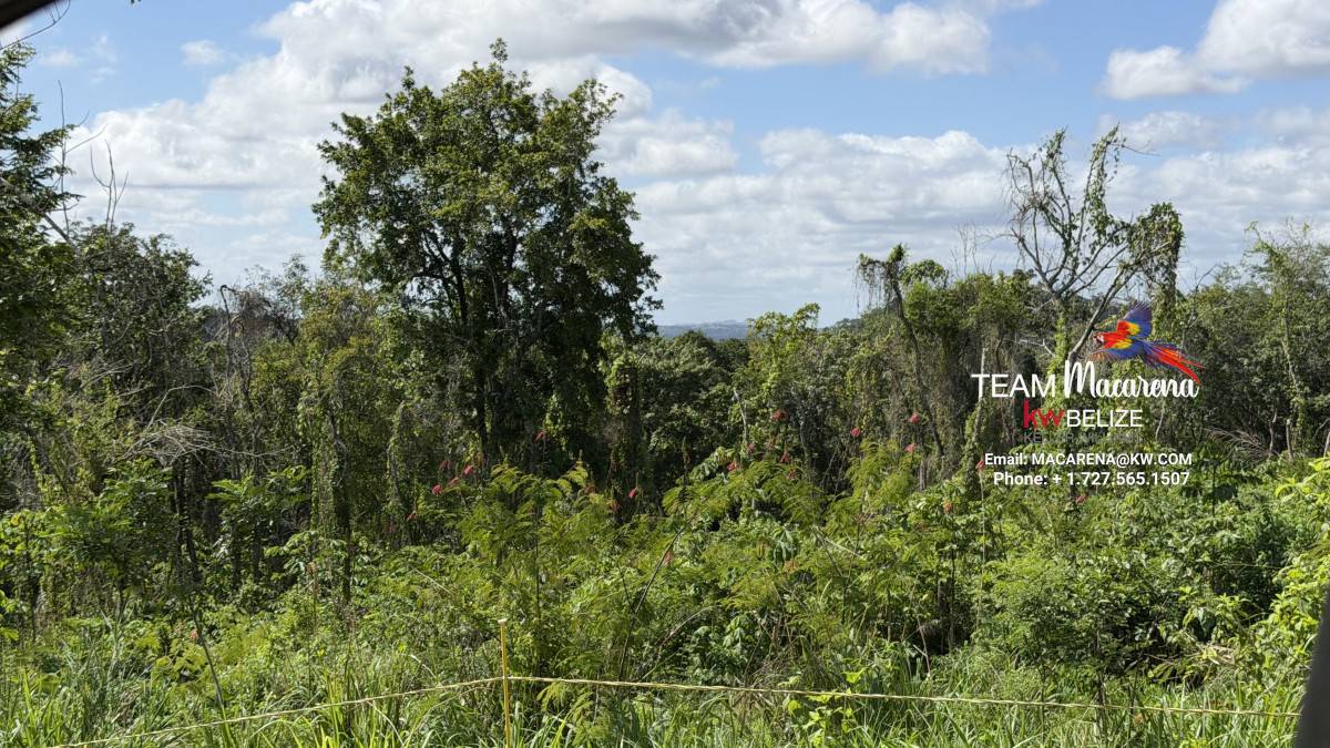 11-Acre Eco Property Near San Ignacio 11-Acre Eco Property Near San Ignacio