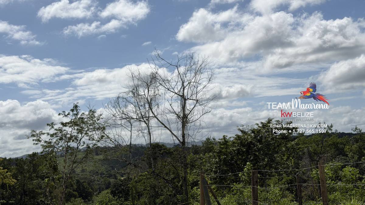 11-Acre Eco Property Near San Ignacio 11-Acre Eco Property Near San Ignacio