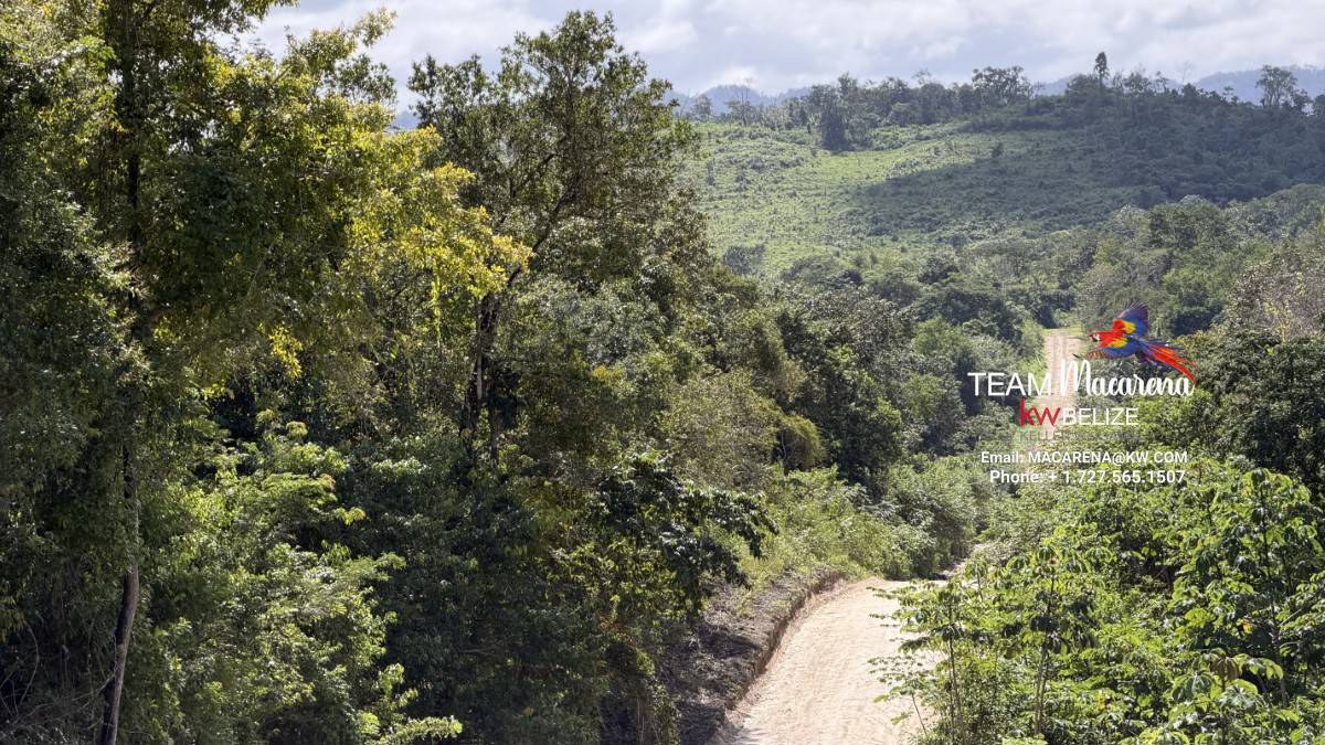 11-Acre Eco Property Near San Ignacio 11-Acre Eco Property Near San Ignacio