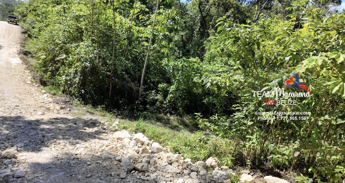 11-Acre Eco Property Near San Ignacio7 11-Acre Eco Property Near San Ignacio
