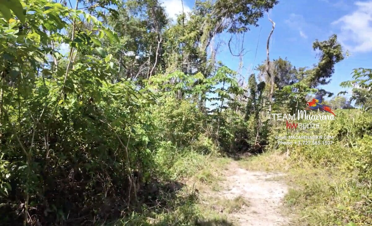 11-Acre Eco Property Near San Ignacio8 11-Acre Eco Property Near San Ignacio