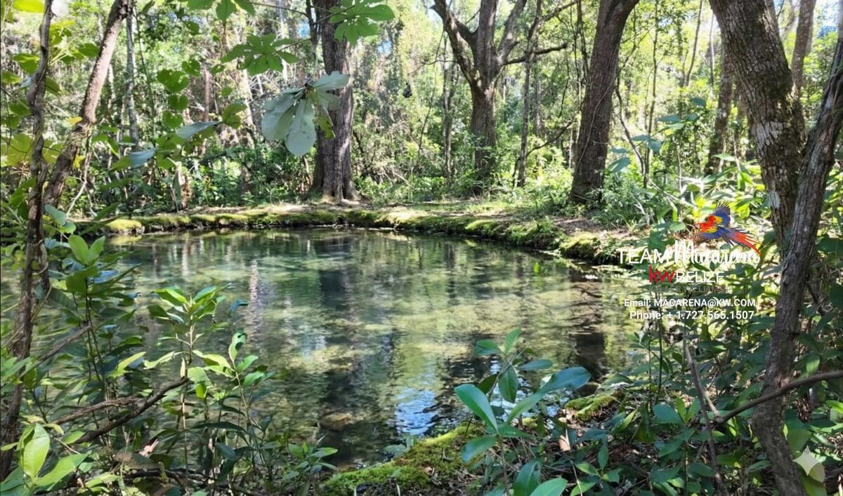 11-Acre Eco Property Near San Ignacio