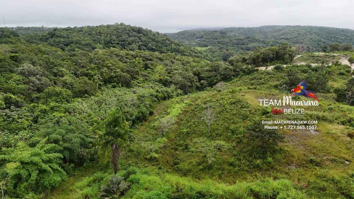 7 Acres Prime Development Land in San Ignacio