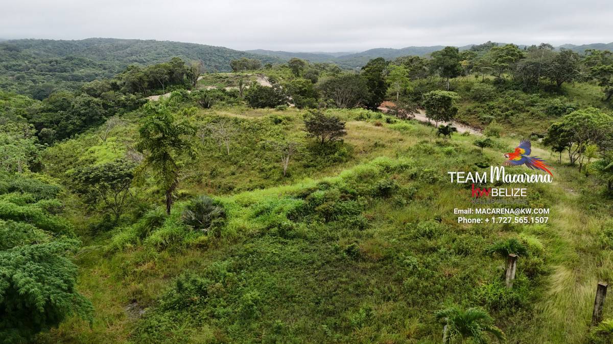 7 Acres Prime Development Land in San Ignacio