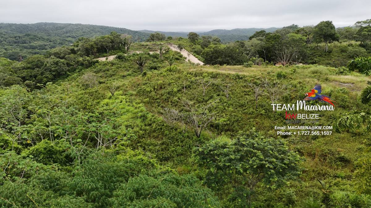 7 Acres Prime Development Land in San Ignacio