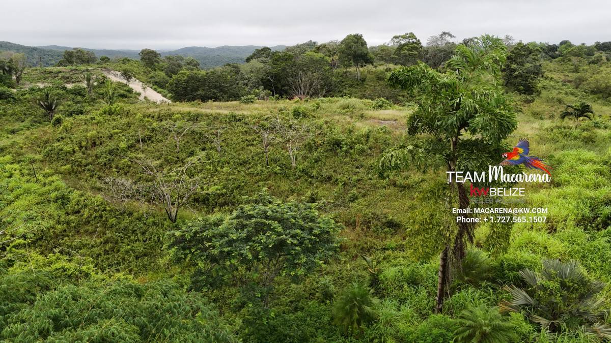 7 Acres Prime Development Land in San Ignacio