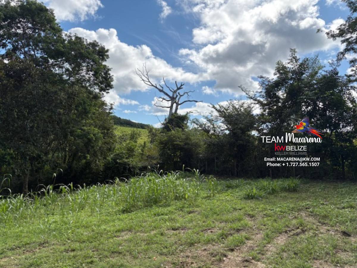 Furnished 2-Bedroom Home on 2.4 Acres24