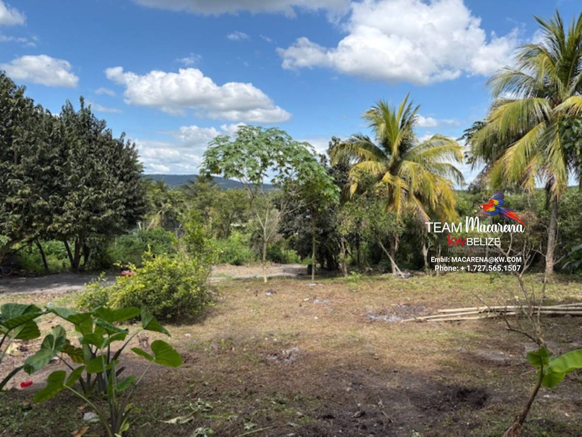 Land for Sale in Bullet Tree Village