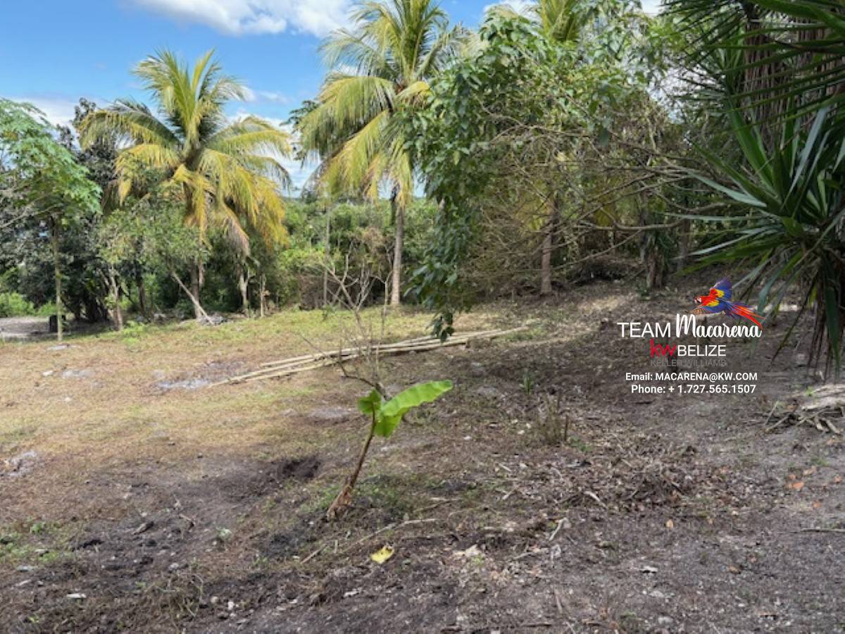 Land for Sale in Bullet Tree Village