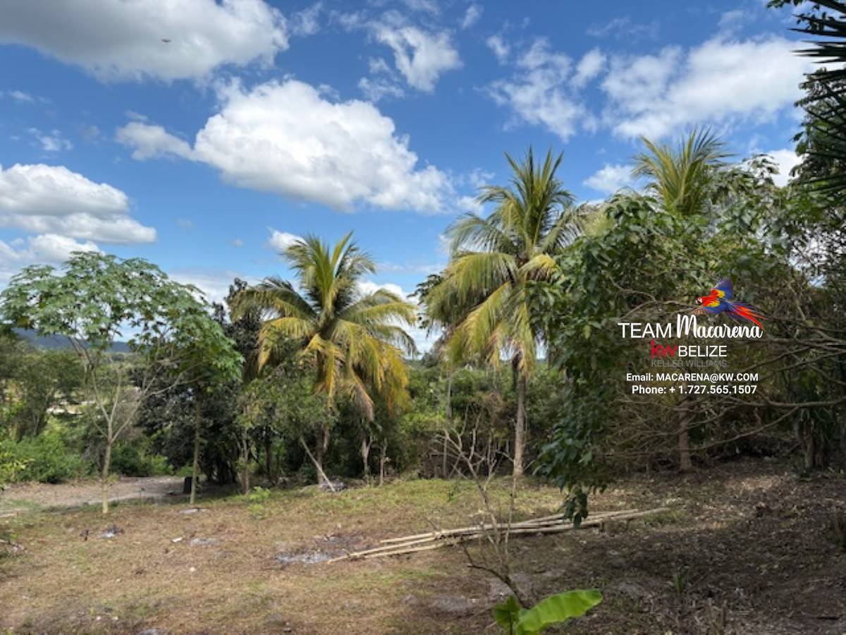 Land for Sale in Bullet Tree Village