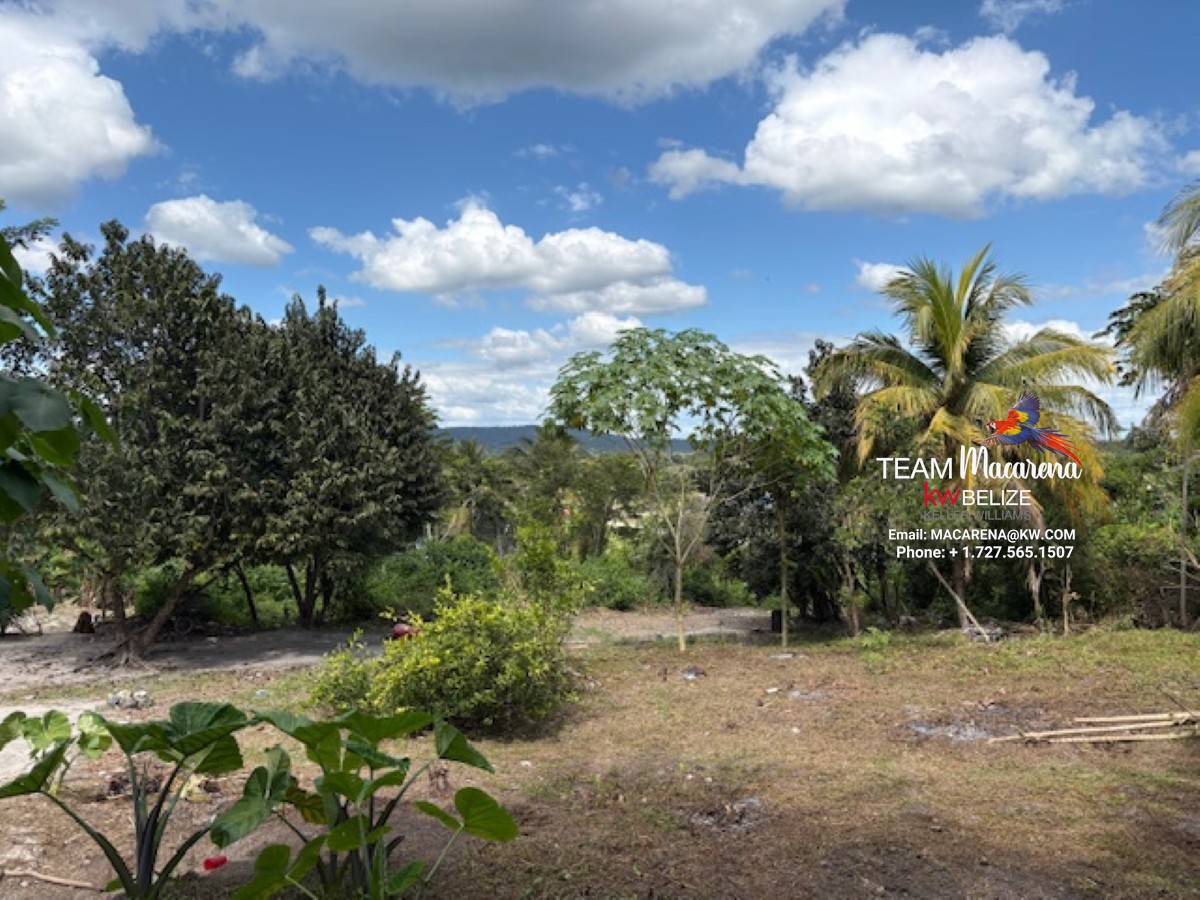 Land for Sale in Bullet Tree Village