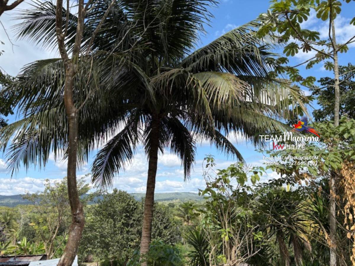 Land for Sale in Bullet Tree Village