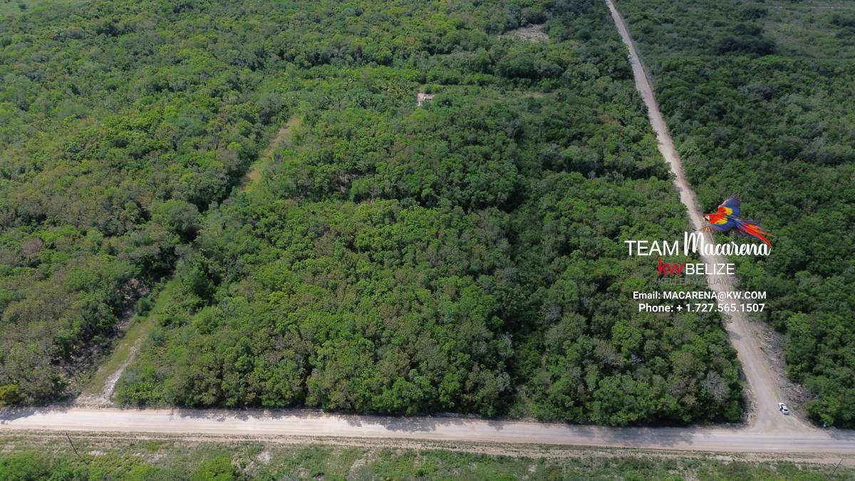 19 Lots on Consejo Road South East